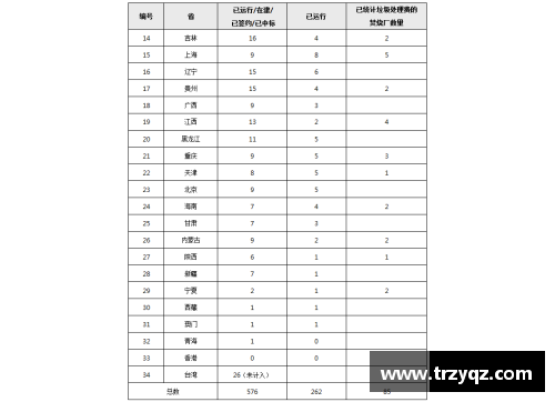 2017年国安球员名单及其表现分析